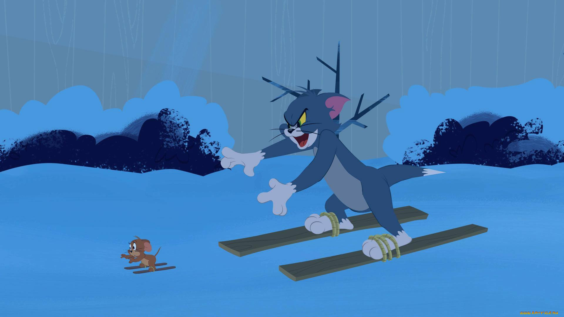 , tom and jerry, , , 
